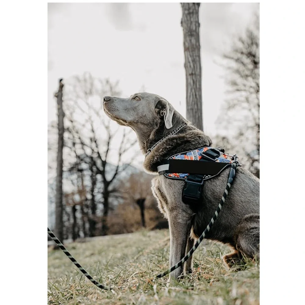 New No Pull Blue Star Dog Harness with Red Trim adjustable reflective medium - Picture 9 of 14